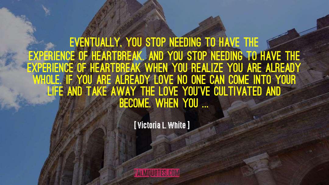 Platonic Relationship quotes by Victoria L. White