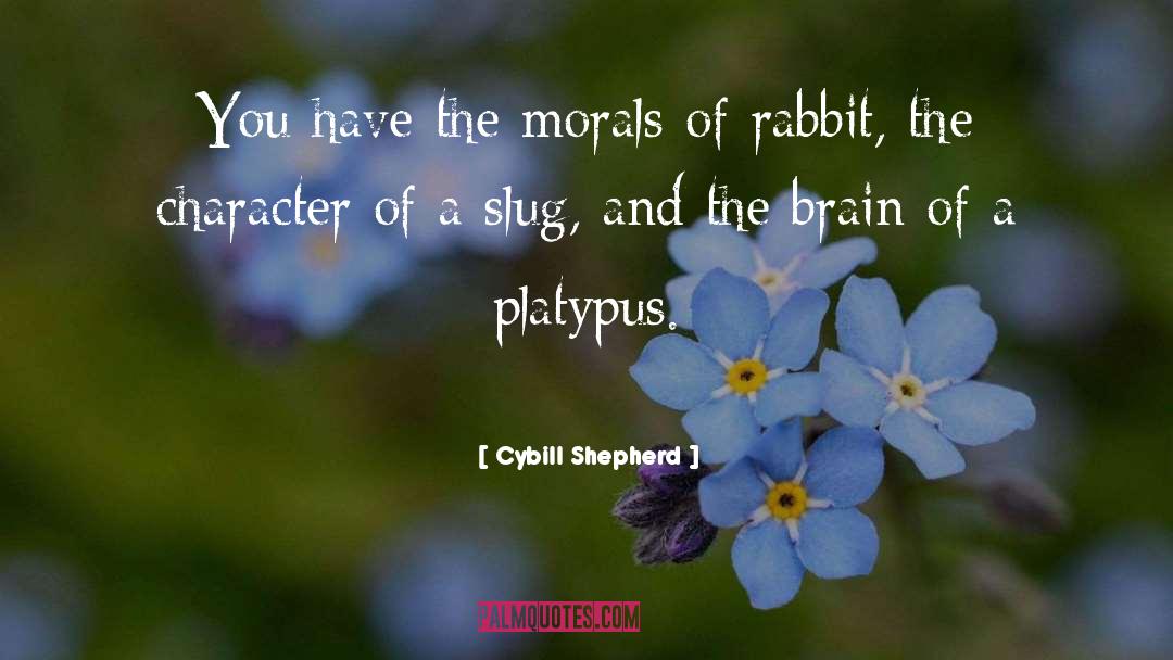 Platypus quotes by Cybill Shepherd