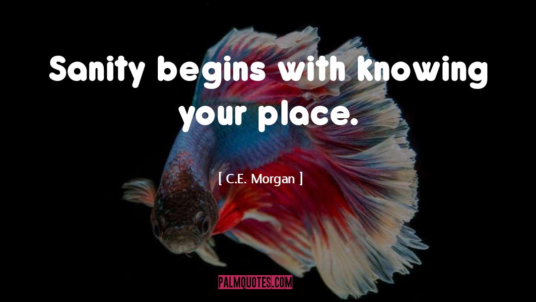 Plausibility Structures quotes by C.E. Morgan