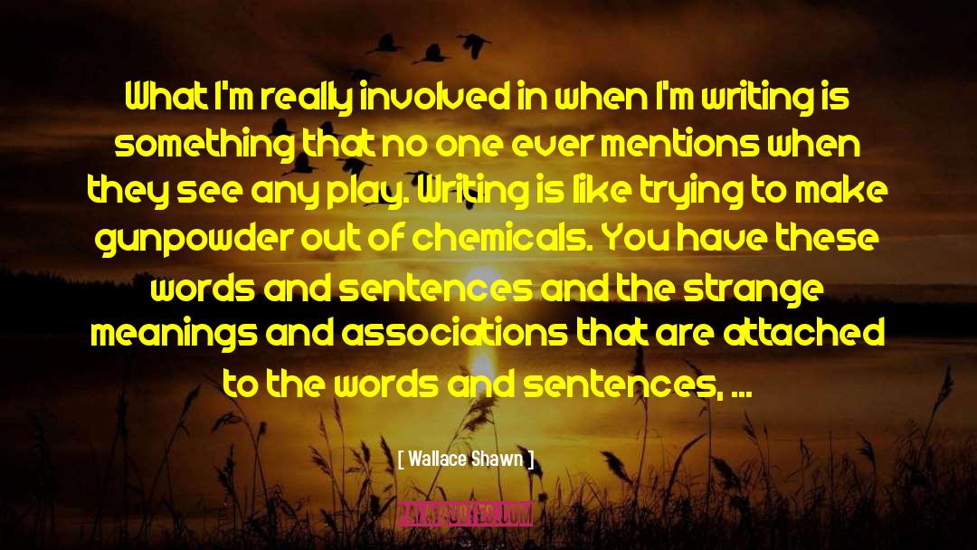 Play Writing quotes by Wallace Shawn