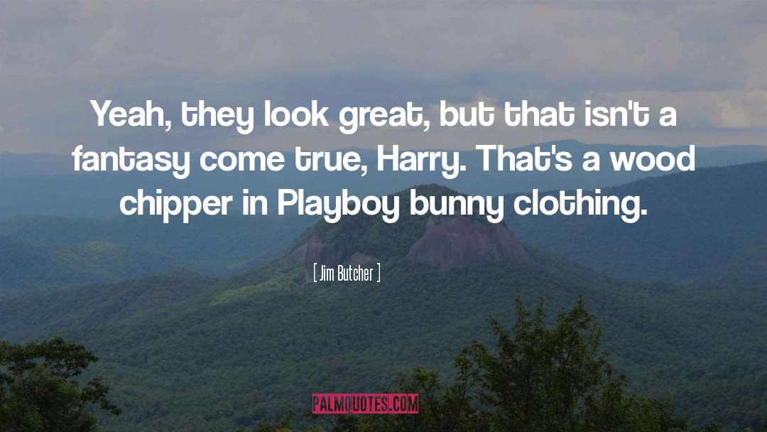 Playboy quotes by Jim Butcher