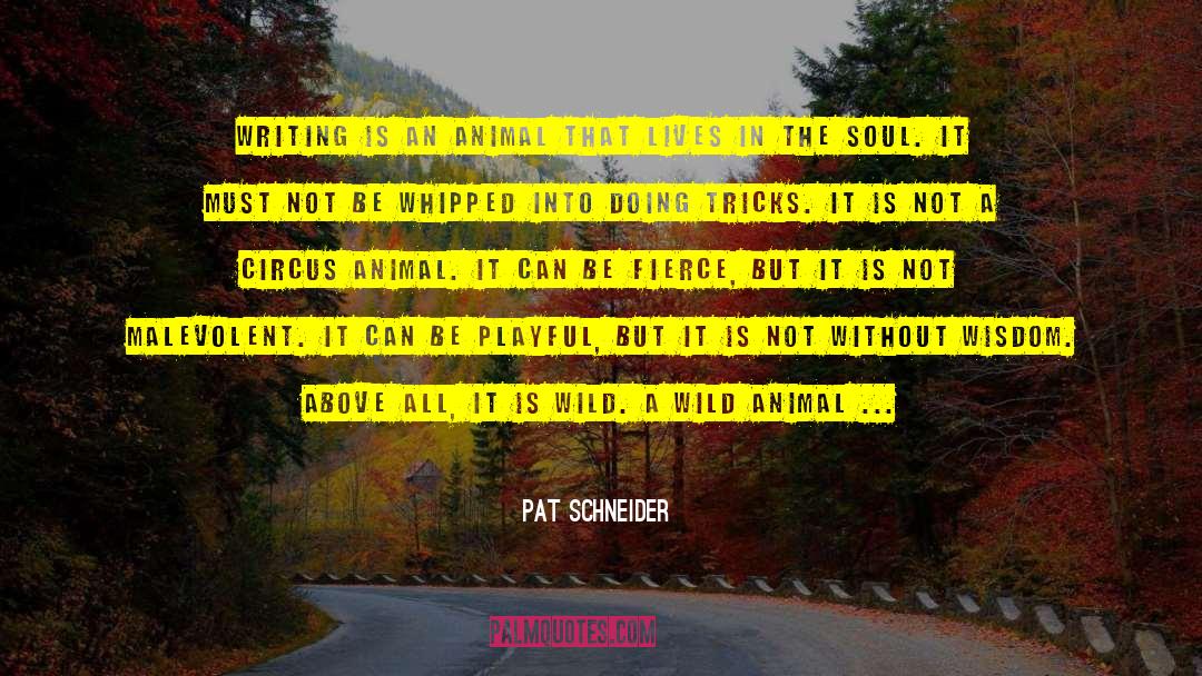 Playful Banter quotes by Pat Schneider