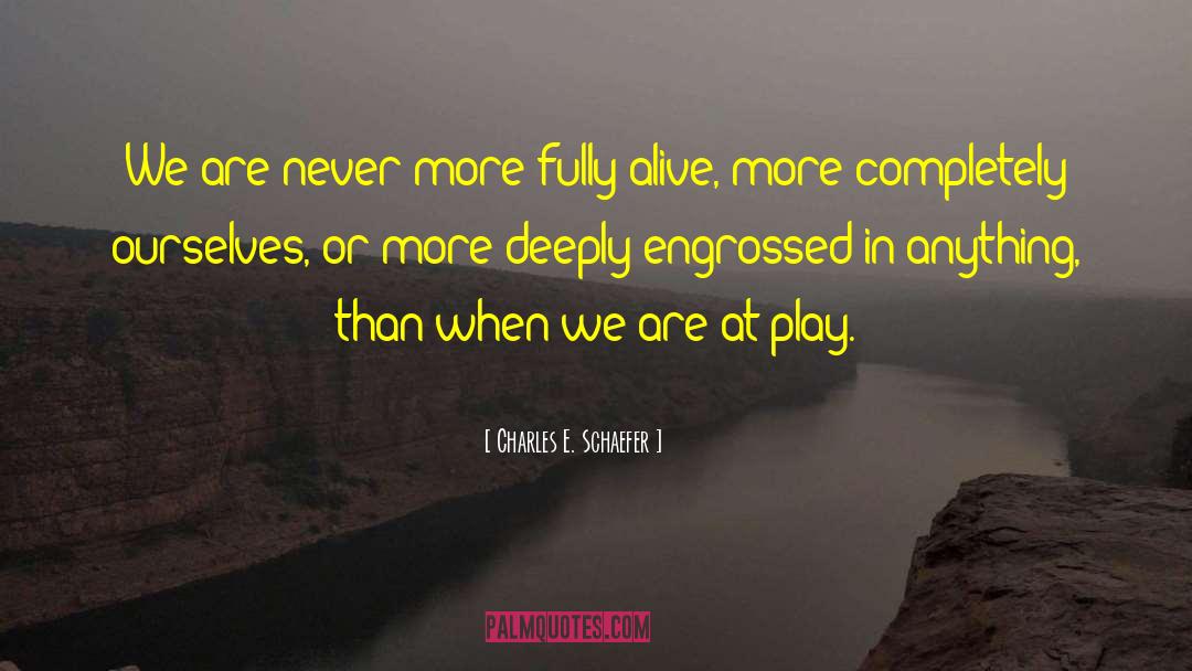 Playfulness quotes by Charles E. Schaefer