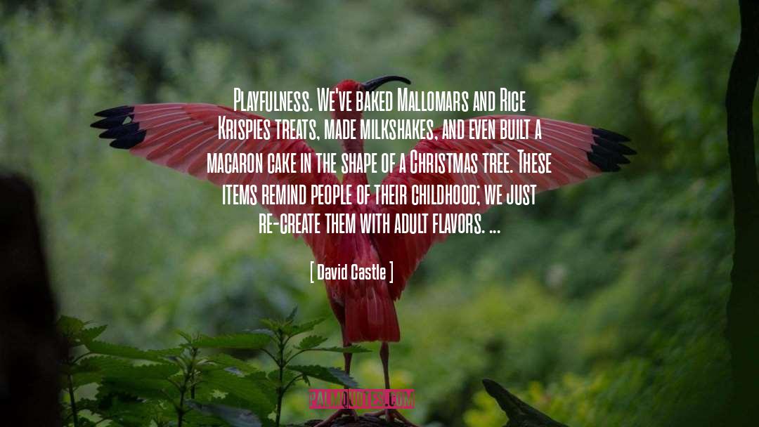 Playfulness quotes by David Castle
