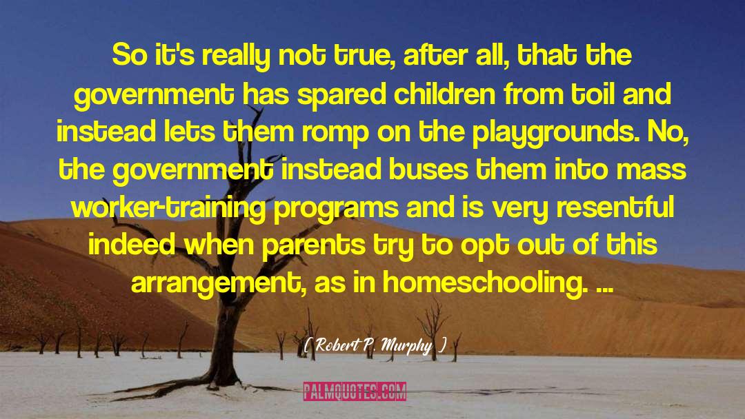 Playgrounds quotes by Robert P. Murphy