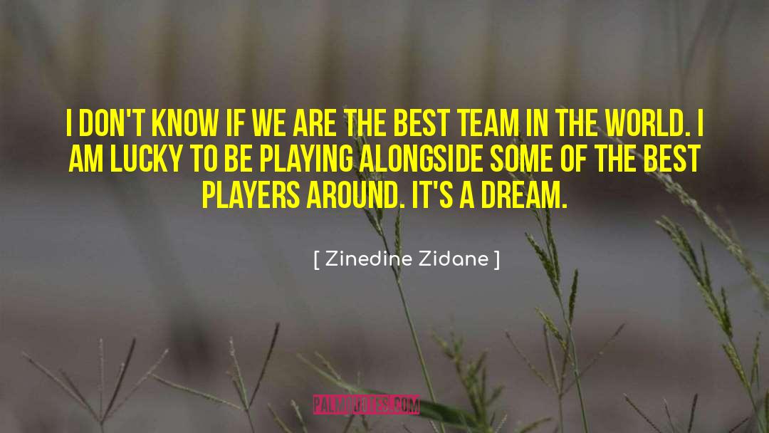 Playing Bridge quotes by Zinedine Zidane