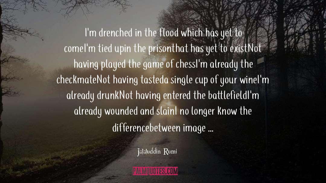 Playing Chess quotes by Jalaluddin Rumi