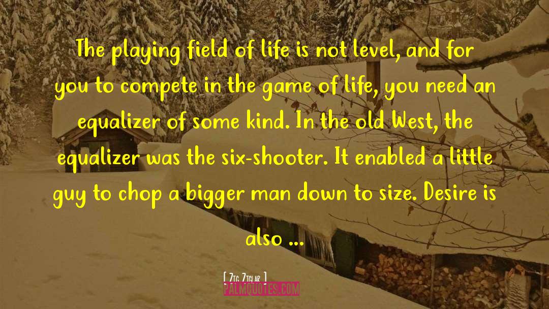 Playing Fields quotes by Zig Ziglar