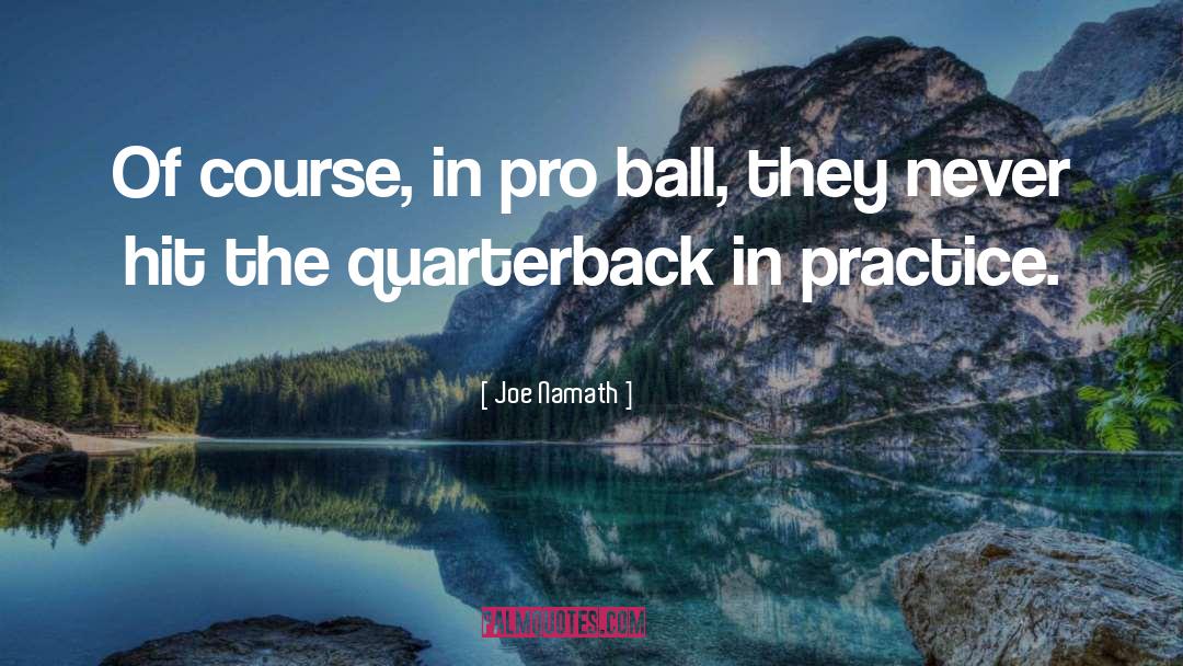 Playmaker Pro quotes by Joe Namath