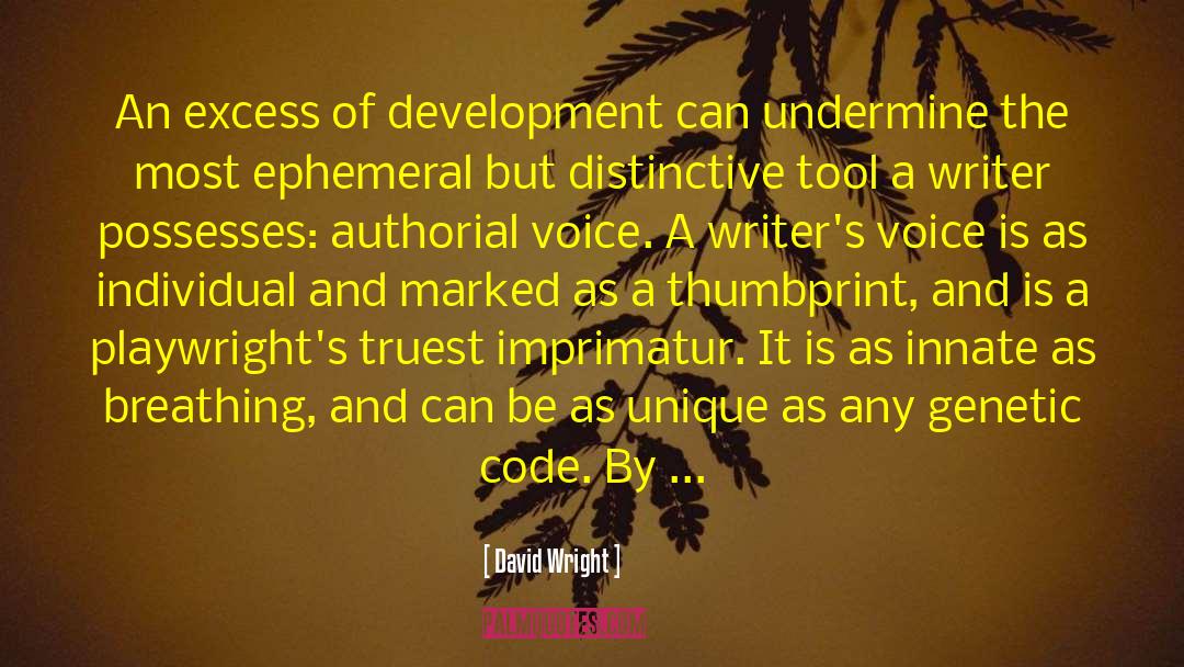 Playwrights quotes by David Wright