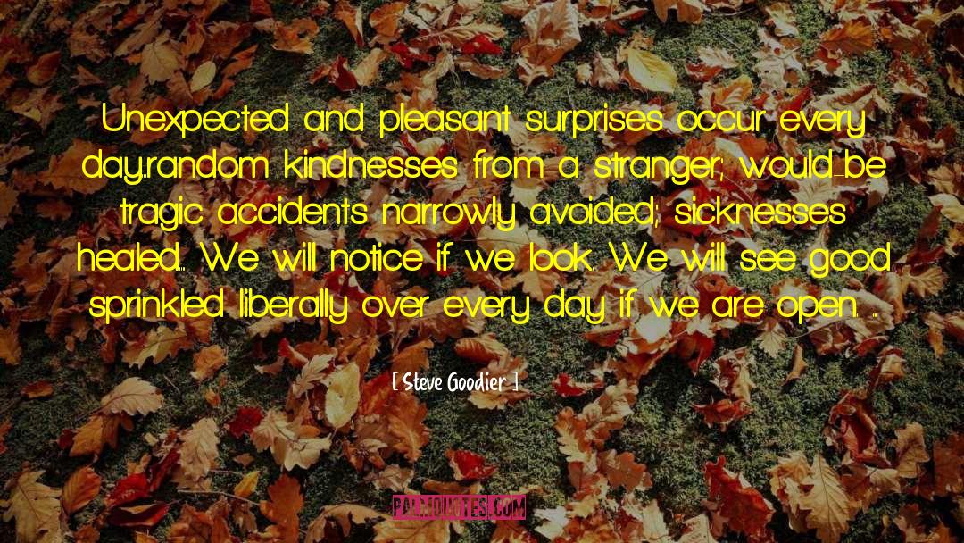 Pleasant Surprises quotes by Steve Goodier