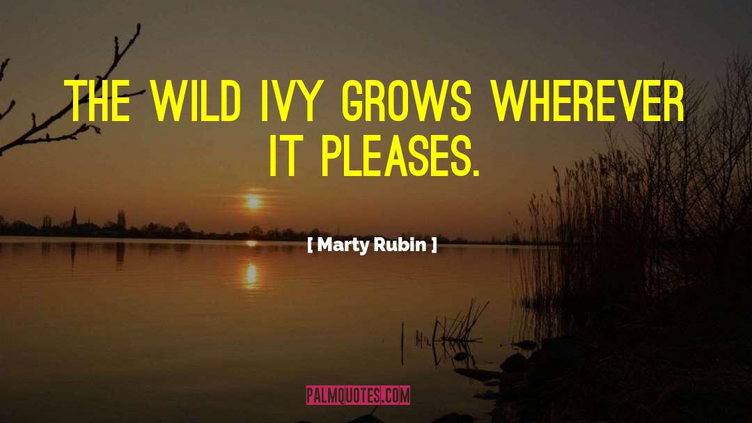 Pleases quotes by Marty Rubin