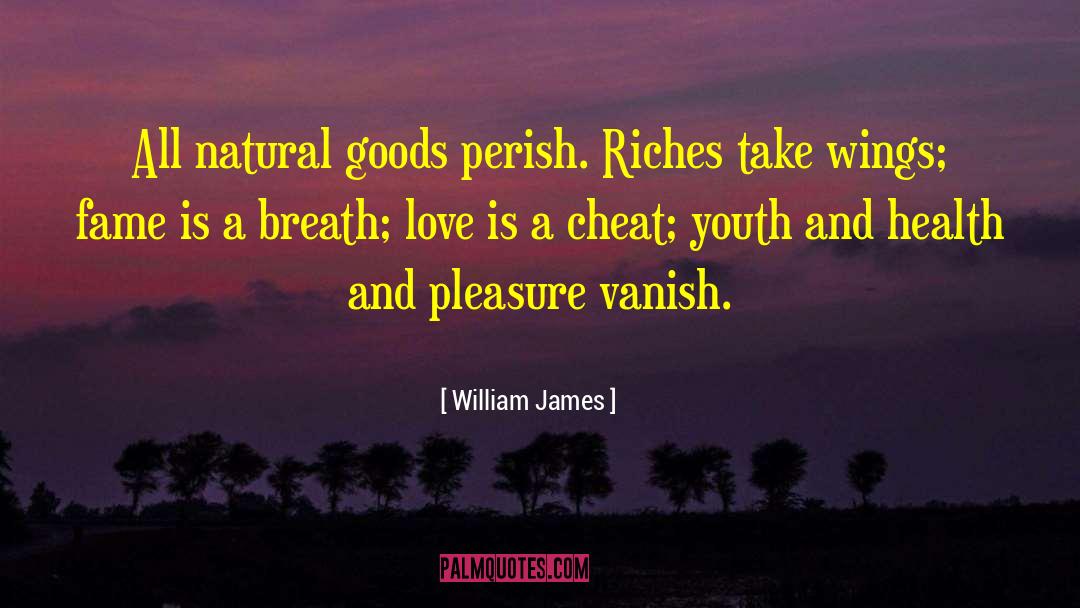 Pleasure And Happiness quotes by William James