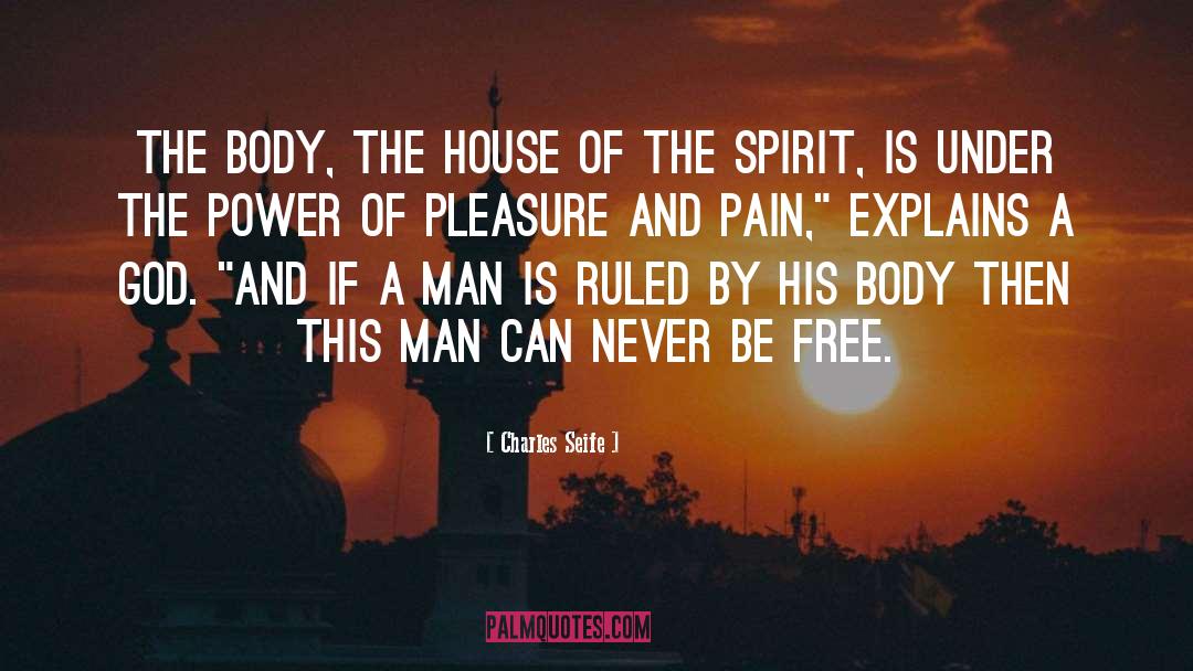 Pleasure And Pain quotes by Charles Seife