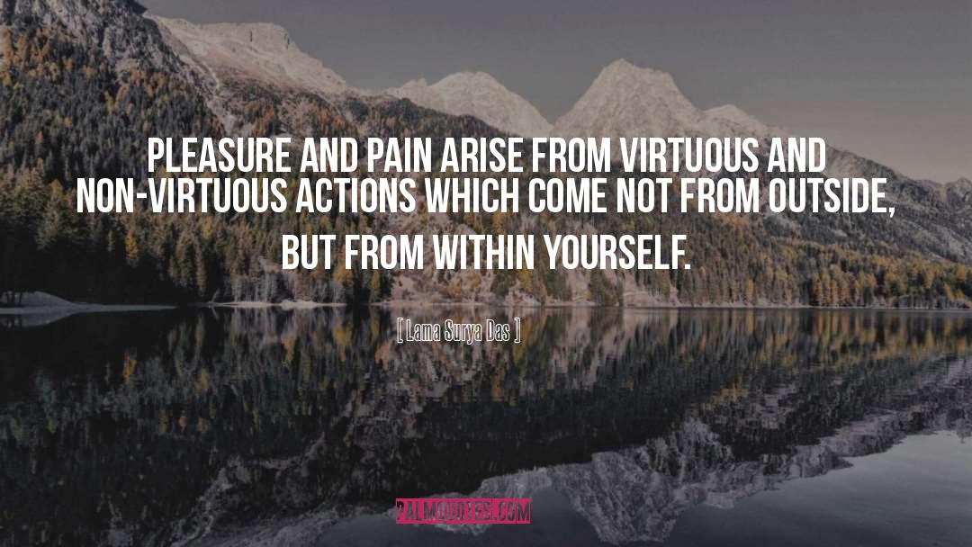 Pleasure And Pain quotes by Lama Surya Das