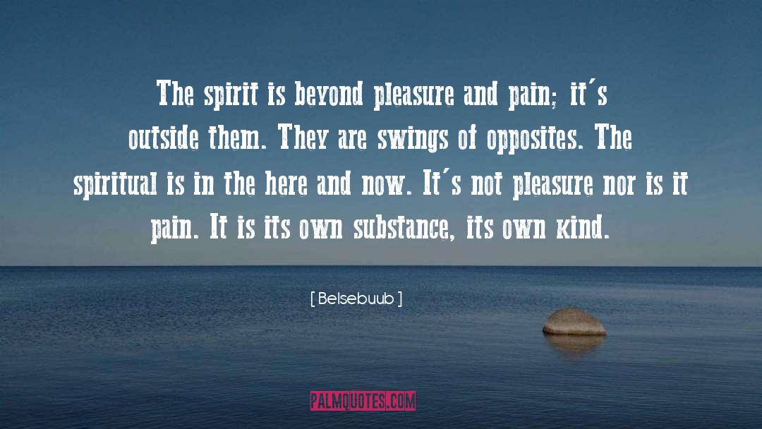 Pleasure And Pain quotes by Belsebuub