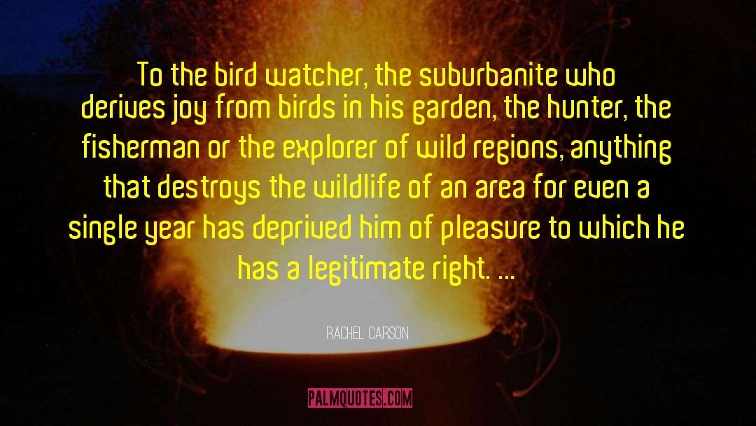 Pleasure Garden Of Attentiveness quotes by Rachel Carson