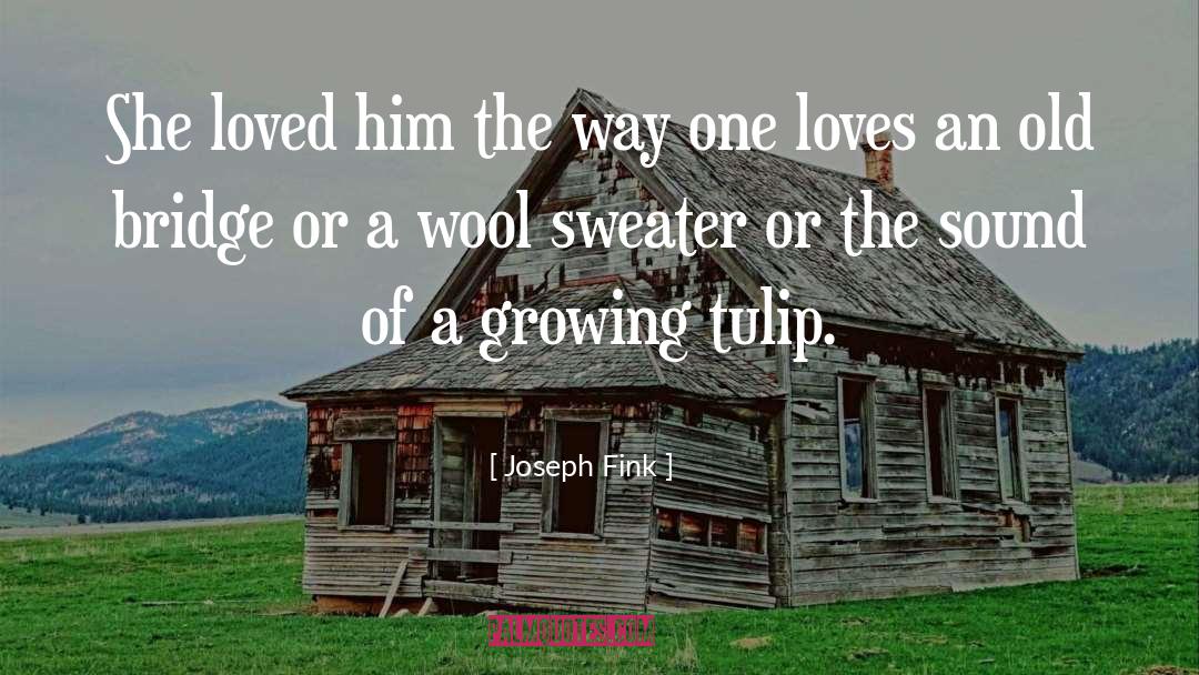 Pleasure Love quotes by Joseph Fink