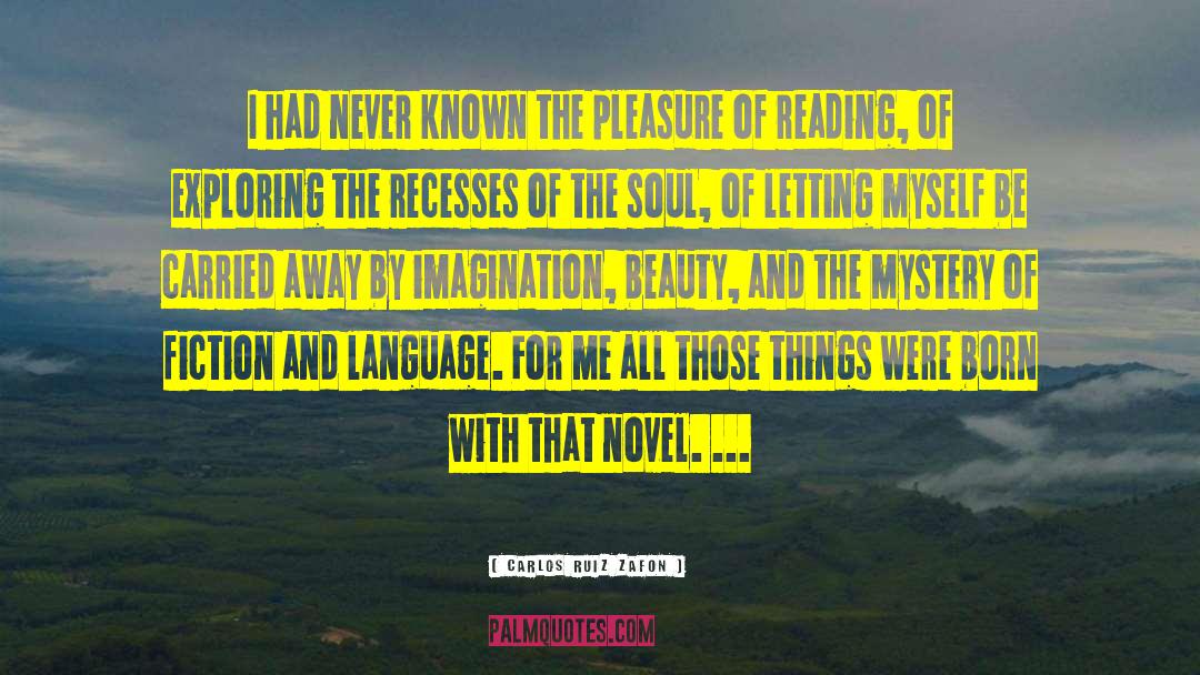 Pleasure Of Reading quotes by Carlos Ruiz Zafon