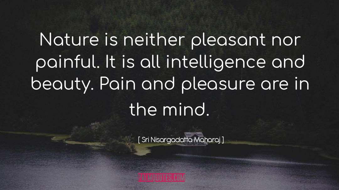 Pleasure Pain quotes by Sri Nisargadatta Maharaj