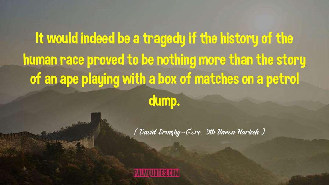 Pleaying With Matches quotes by David Ormsby-Gore, 5th Baron Harlech