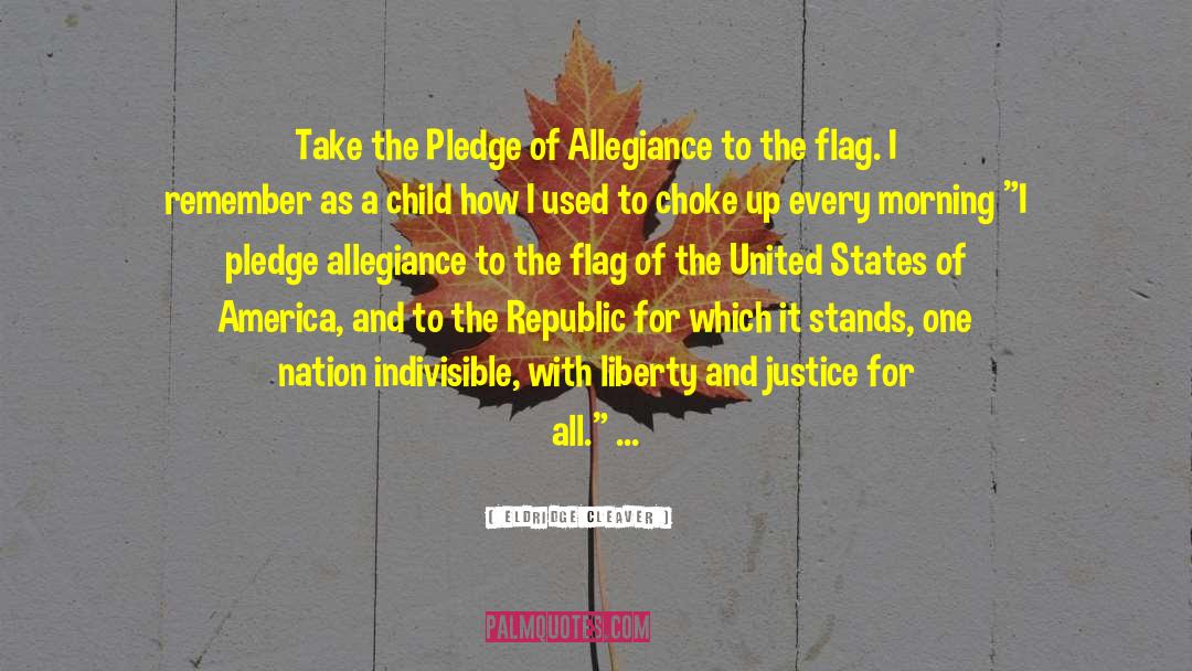 Pledge Of Allegiance quotes by Eldridge Cleaver