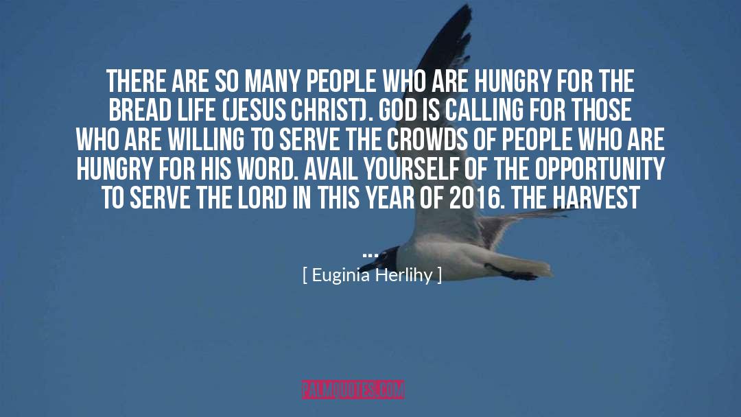 Plentiful quotes by Euginia Herlihy