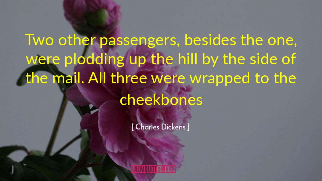 Plodding quotes by Charles Dickens