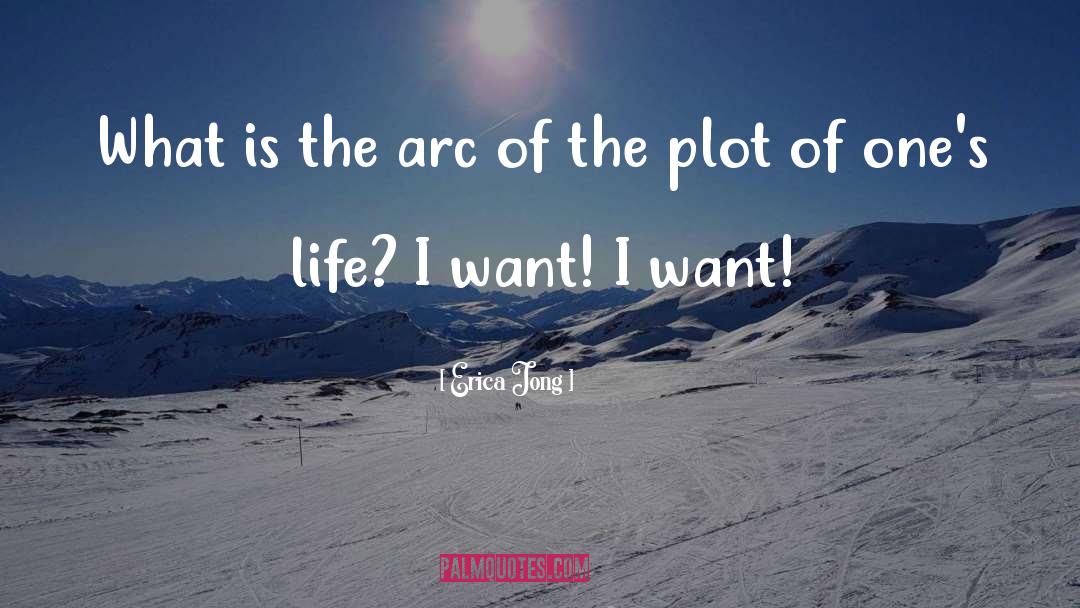 Plot Lines quotes by Erica Jong