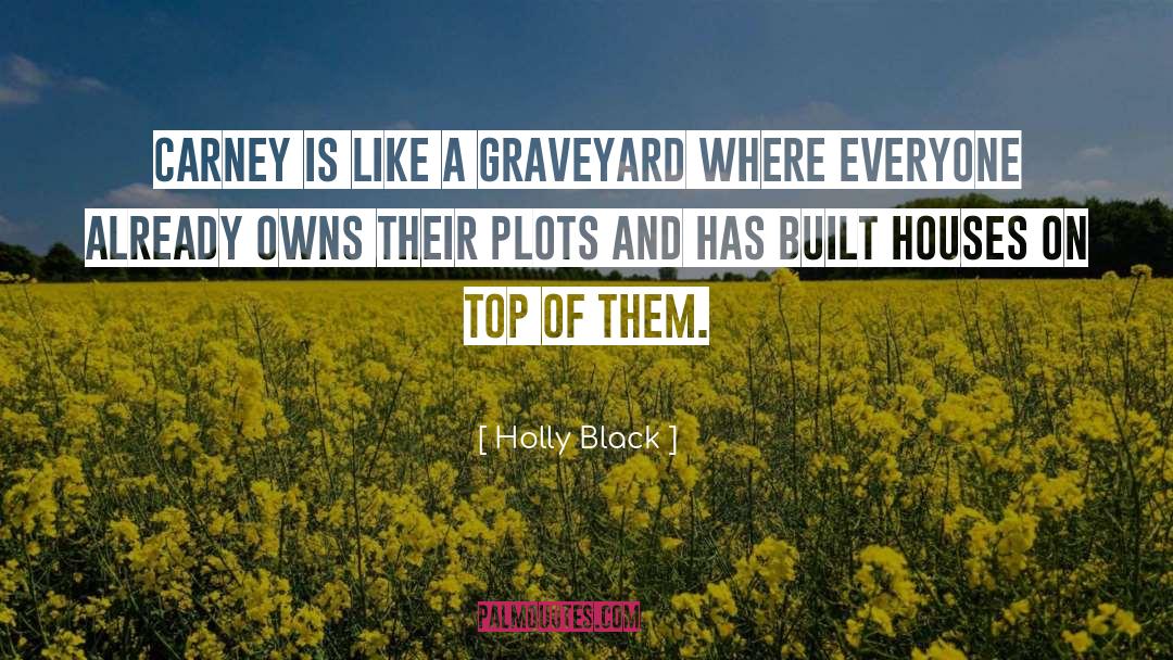 Plots quotes by Holly Black
