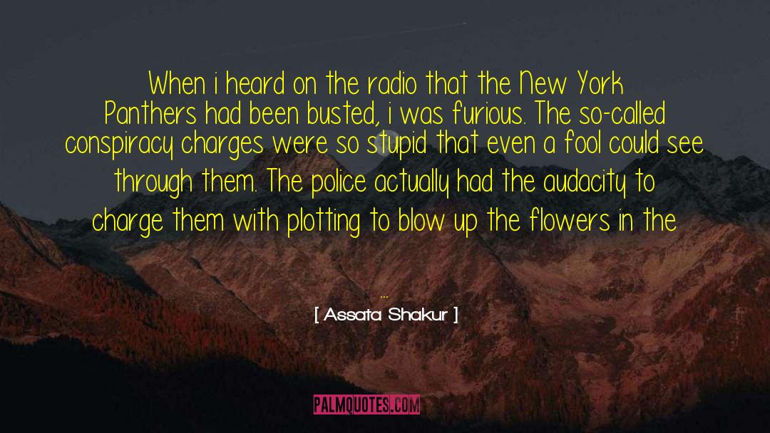Plotting quotes by Assata Shakur