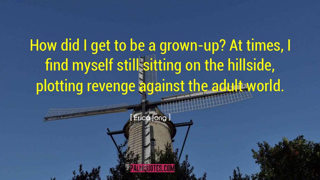 Plotting Revenge quotes by Erica Jong