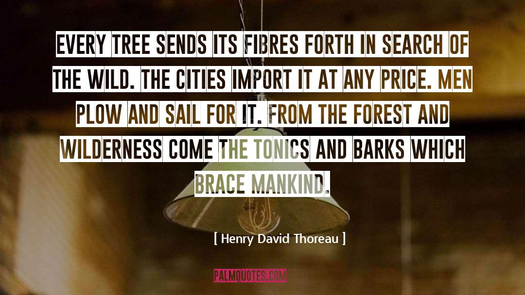 Plow quotes by Henry David Thoreau