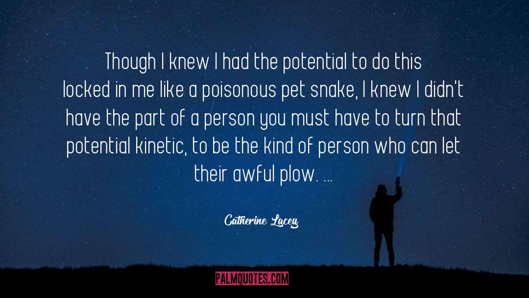 Plow quotes by Catherine Lacey