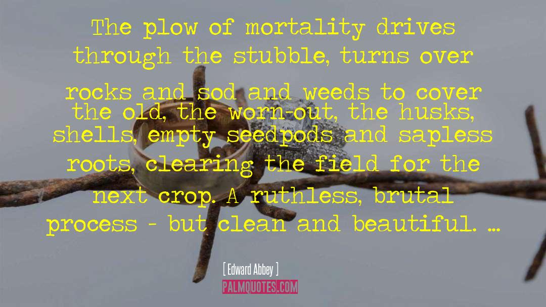 Plow quotes by Edward Abbey