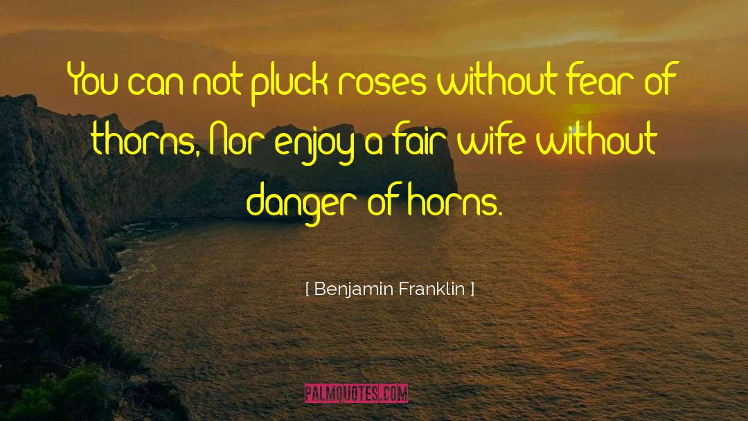 Pluck quotes by Benjamin Franklin
