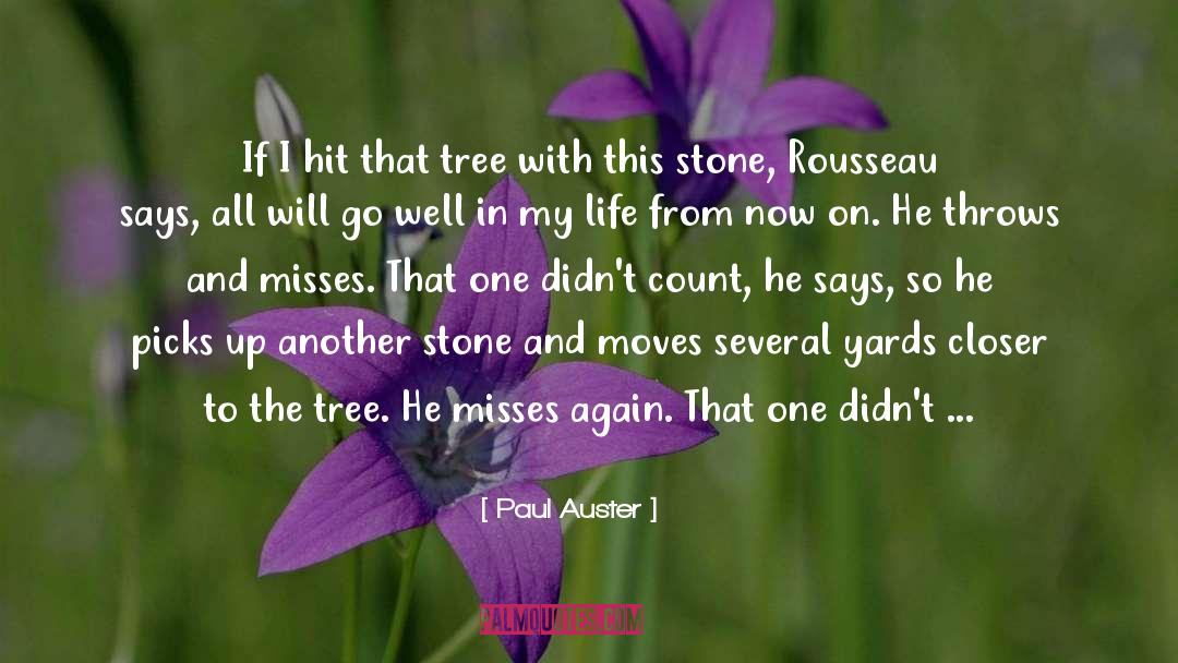 Plug Away At Life quotes by Paul Auster