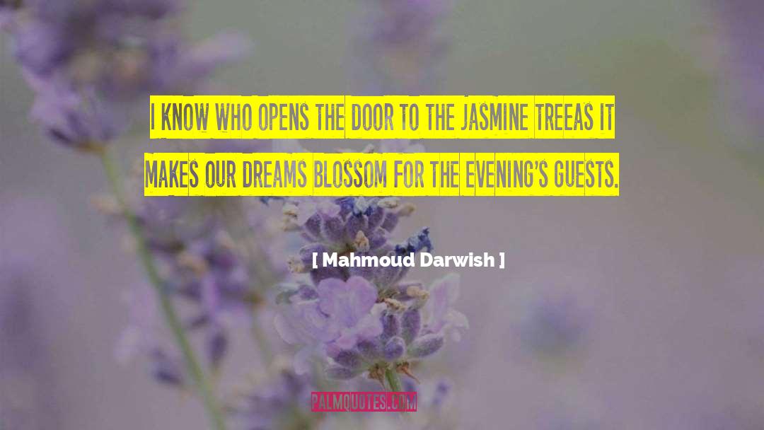 Plum Blossom quotes by Mahmoud Darwish