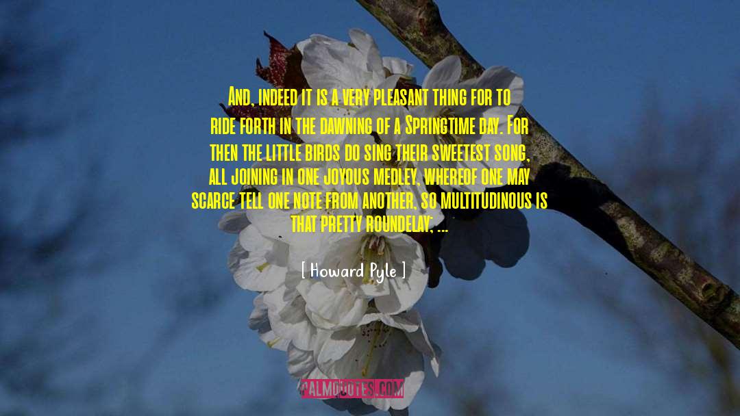 Plum Blossoms quotes by Howard Pyle