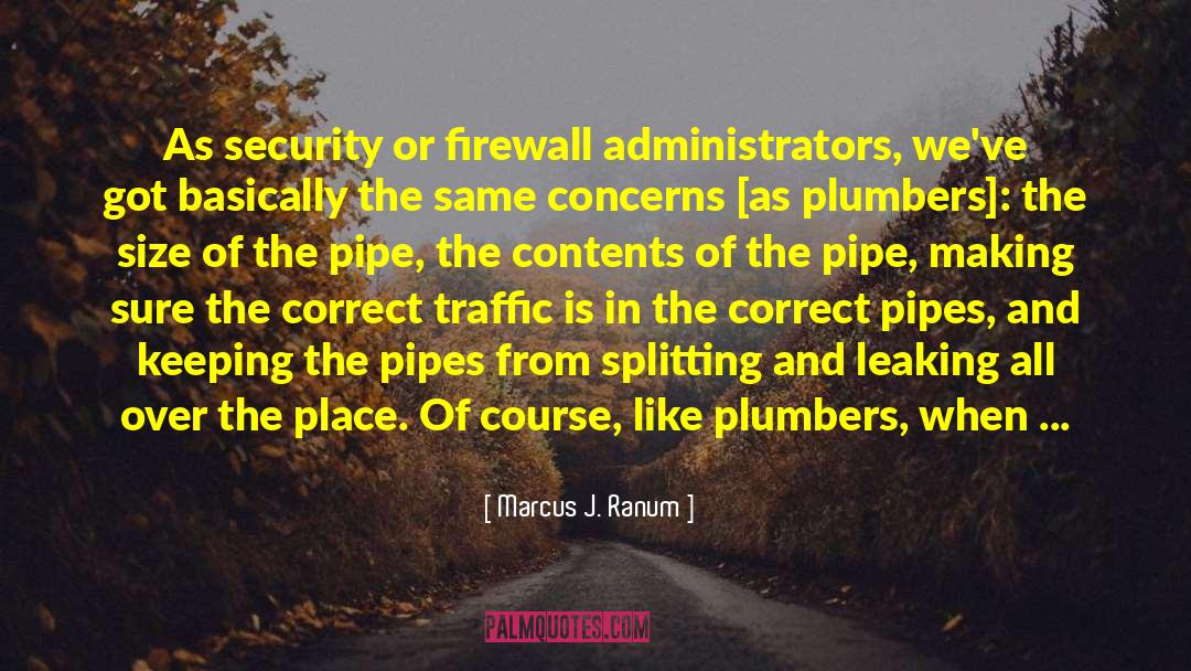 Plumber quotes by Marcus J. Ranum