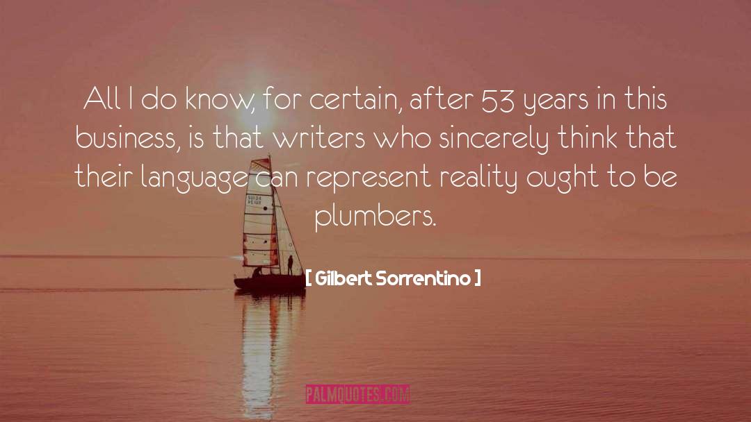 Plumber quotes by Gilbert Sorrentino