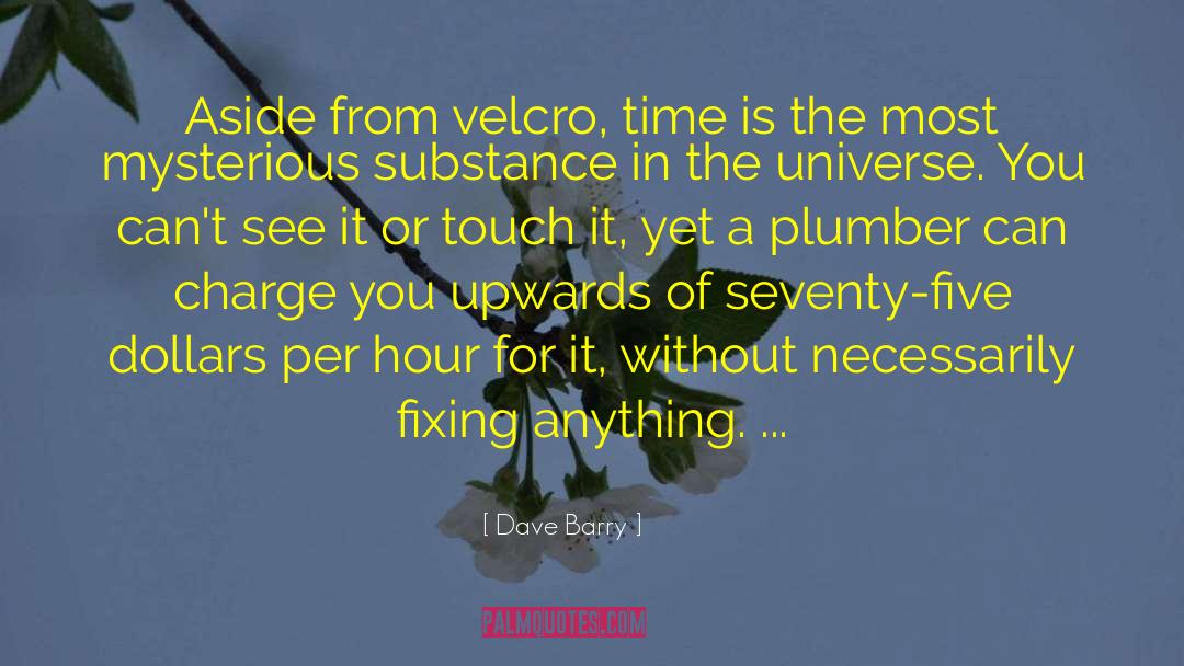 Plumber quotes by Dave Barry