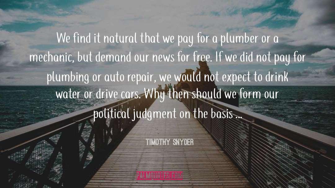 Plumber quotes by Timothy Snyder