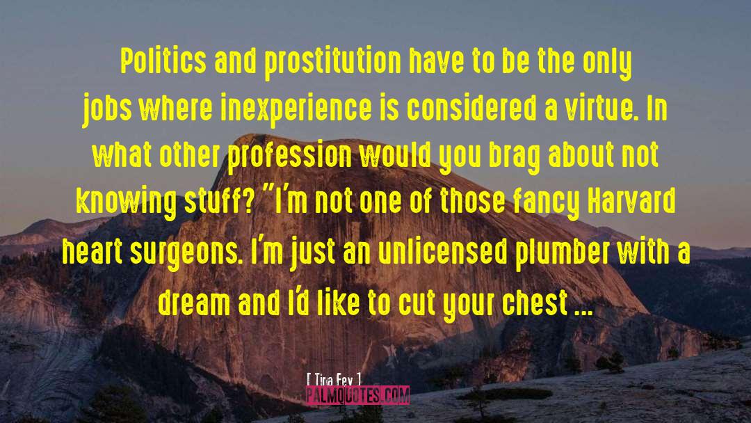 Plumber quotes by Tina Fey