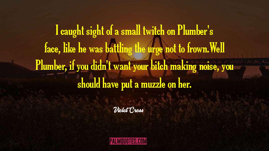 Plumber quotes by Violet Cross