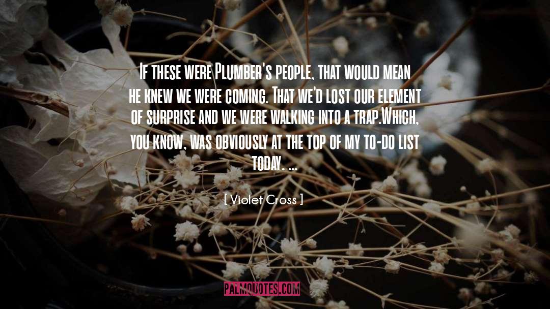 Plumbers quotes by Violet Cross