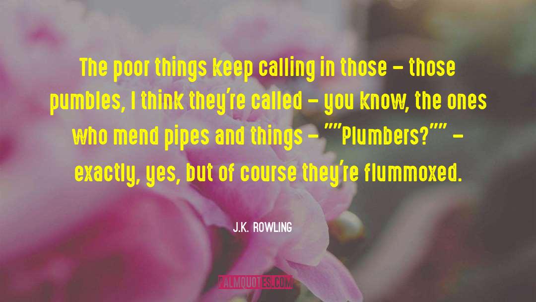 Plumbers quotes by J.K. Rowling