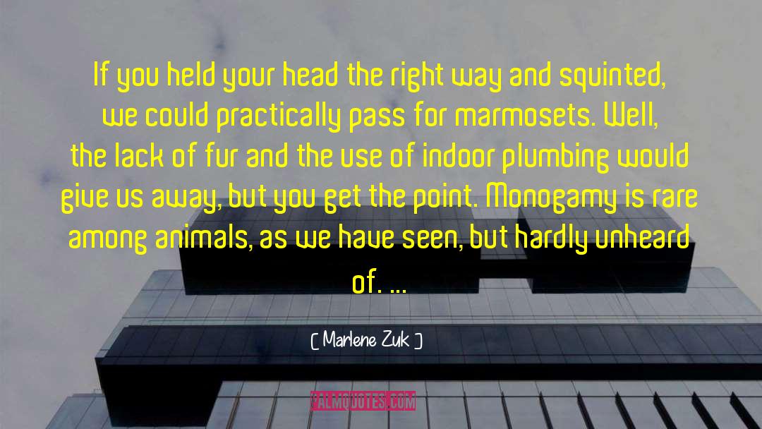 Plumbing quotes by Marlene Zuk