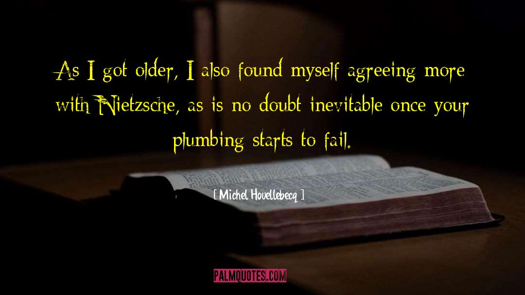 Plumbing quotes by Michel Houellebecq