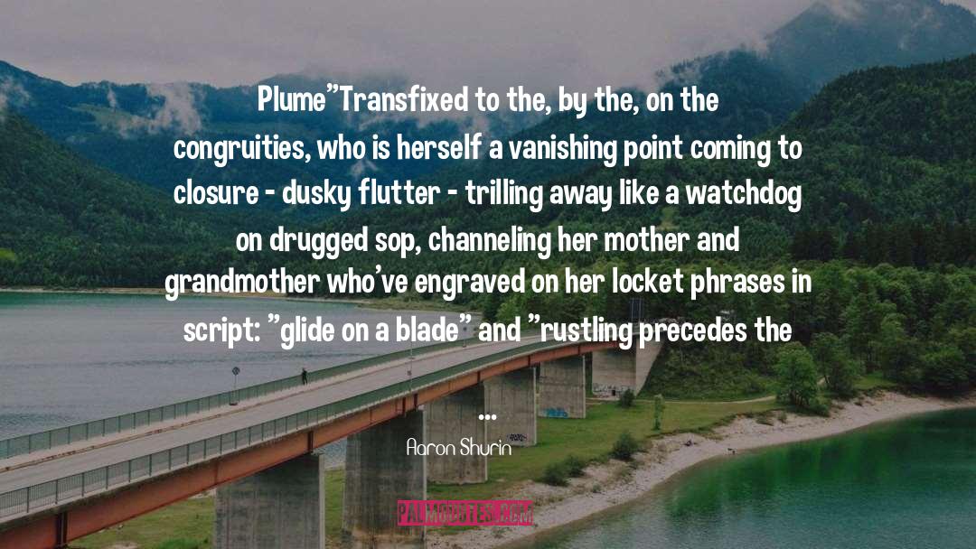 Plume quotes by Aaron Shurin